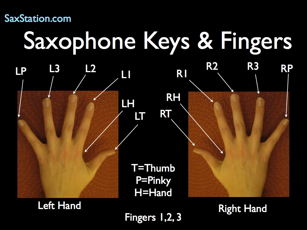 Tenor Saxophone Chromatic Scale Finger Chart