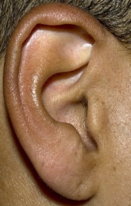 ear